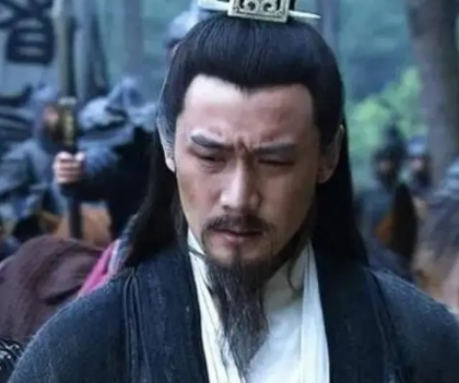 被诸葛亮所杀的蜀汉将领有哪些？背后原因是什么？
