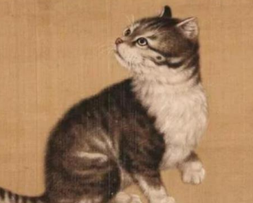 明朝嘉靖帝的猫缘：宠爱之深，名字之谜
