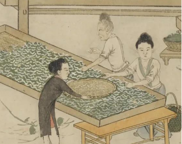 明朝“蚕神杀人事件”始末