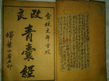 青囊书的假设：中医与西医的交汇点