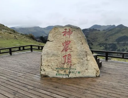 探秘神农架：千年巨蟒的真伪之谜