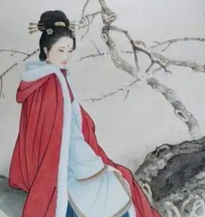 探秘历史之谜：唐代梅妃的身世与人物特质