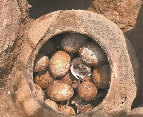 考古困境：古墓中的鸡蛋与文物保护的挑战