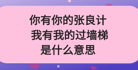 策略与对策：探讨“你有良策，我有墙梯”背后的智慧