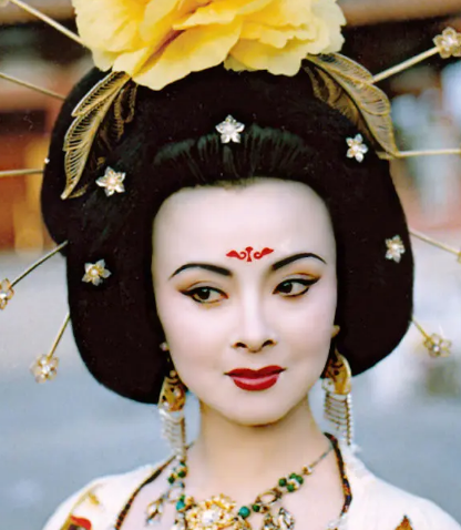杨贵妃与皇后之位：历史背后的真相
