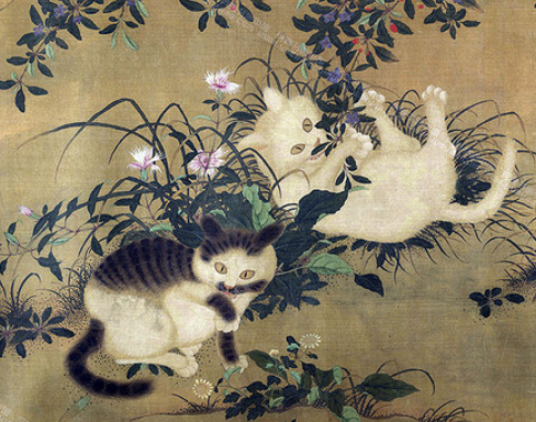 古代对猫的惩罚：从历史文献看古人对猫的态度