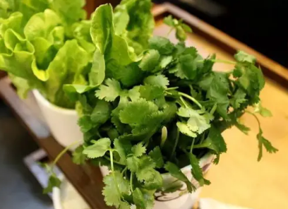 香菜与盐水：名称差异背后的文化解读