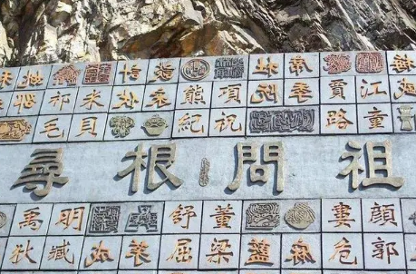 探索中国姓氏文化：姓朴的起源与明星代表