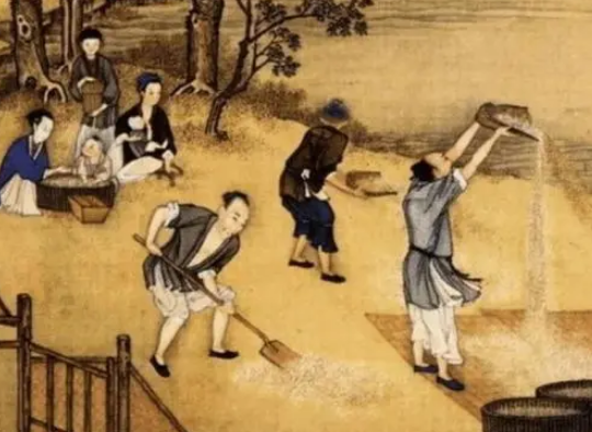 盐的历史地位：从生命之源到财富之源