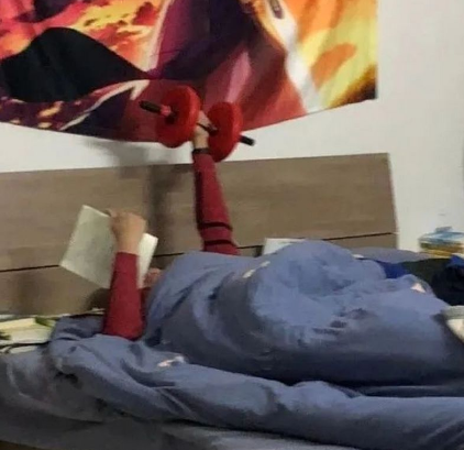 探究“文体两开花”的深层含义，文体指的是什么?
