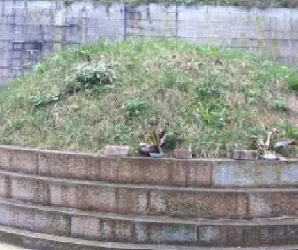 赵云墓出土的赵云枪和龙胆枪：历史真相探秘