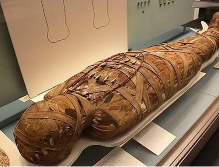 古代木乃伊与古代病毒：科学探索的真相