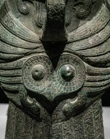 猫头鹰的误解：从古代迷信到现代智慧的转变