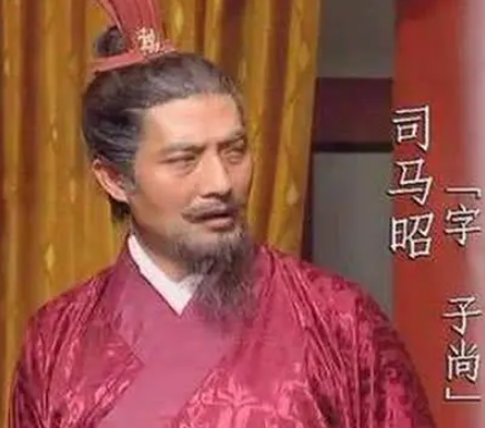 历史的假设：如果曹髦杀了司马昭，曹魏会怎么样？