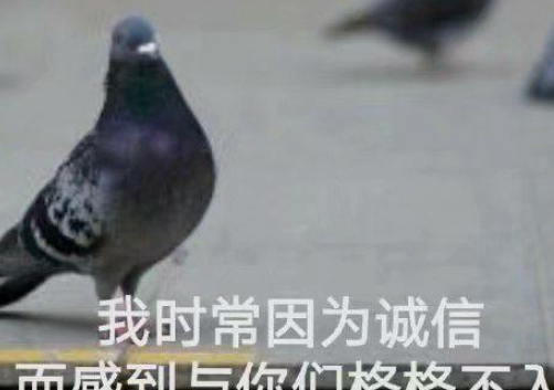 放鸽子的来历：失约为何被称为“放鸽子”？