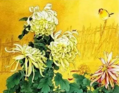 重阳节的传统习俗：登高赏菊与节日庆祝