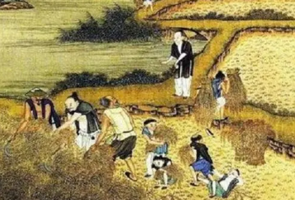 古代农民与土地制度：探究历史背景与现实困境