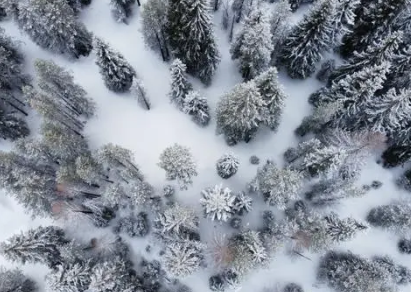 大雪节气：寒风中温馨的传统，迎接冬季的开始