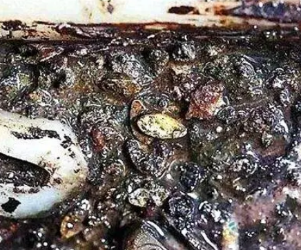 海昏侯墓主人遗体中发现甜瓜籽：汉朝南方贵族的甜瓜情缘