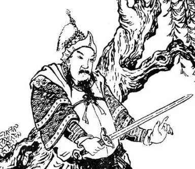 三国名将姜维 —— 一位才华横溢却命运多舛的武将