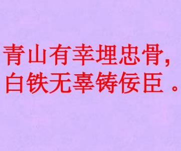 青山有幸埋忠骨白铁无辜铸佞臣——探寻作者之谜