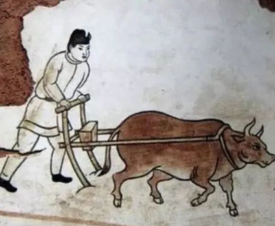 古代牛肉的来源与消费
