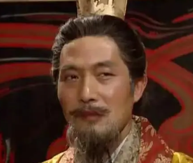 刘禅的稳定统治与和平归降：智慧与时势的选择
