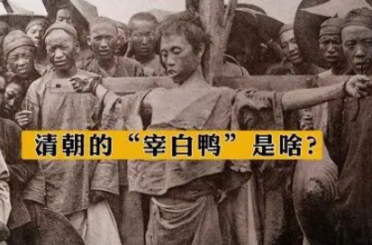 探秘清朝奇闻：“宰白鸭”背后的历史真相