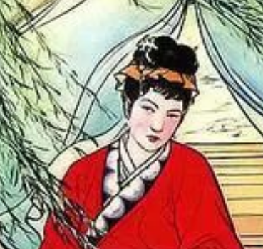 儒林外史中的沈琼枝：外貌与内心的矛盾之美