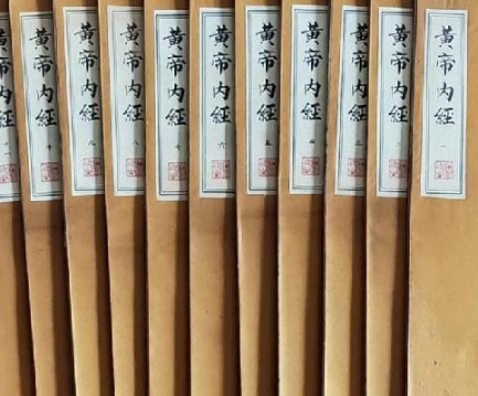 探索医学宝库：最具影响力的不朽医典