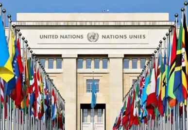 联合国安全理事会与联合国大会的关系及职能解析
