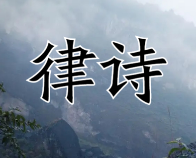 律诗的四联分别叫什么？