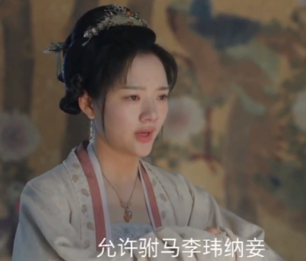 徽柔公主与驸马的不幸婚姻：历史背后的真相