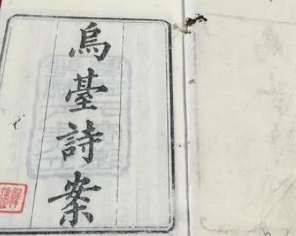 乌台诗案的受害人及其影响，过程是什么样的？