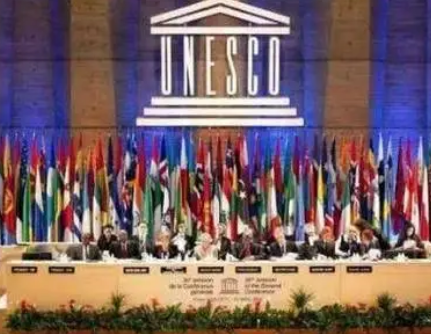 联合国与联合国安理会：维护国际和平与安全的两大支柱