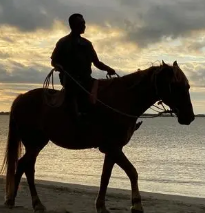 Letting the horse run free with the reins: the boundary between freedom and indulgence