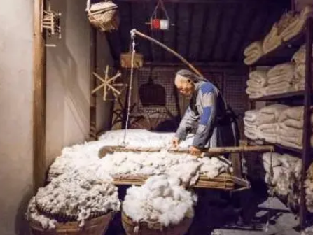 What is the earliest period of the origin and spread of ancient cotton?