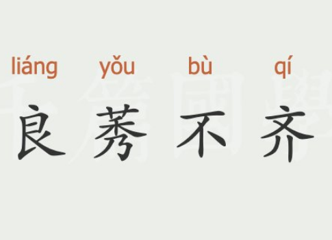 良莠不齐的辨析：从物到人的深入探讨