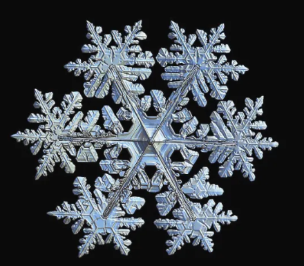 The mystery of snowflakes: exploring the diversity of their shapes
