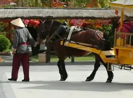 Changes in transportation in the Song Dynasty: Why didnt horse-drawn carriages become the mainstream?