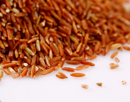 The rouge rice in Dream of the Red Chamber: Kangxis cultivation and folk pursuit