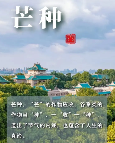 芒种时节的活动策划，都有什么内容？