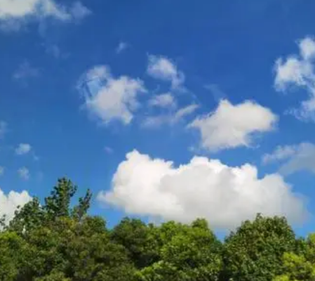 Poetic Expressions of the Cloud - Imitating the Natural Beauty in Sentences