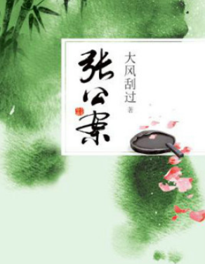 揭秘历史疑案：张公案的结局解析