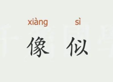 深入解析“颇像”的含义及其近义词