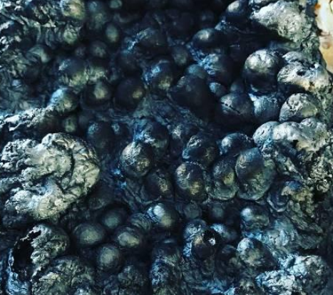 Exploring the Limits of Taste Buds: The Global List of Dark Cuisine