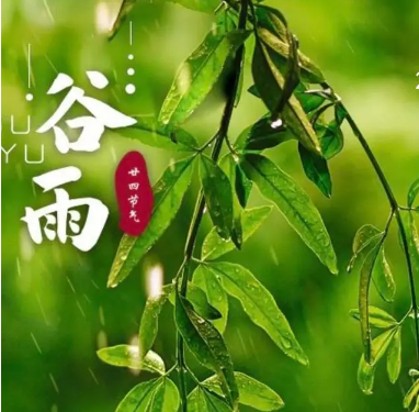 谷雨节气：雨量增多与气温回升的象征