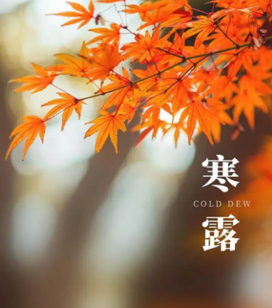 寒露节气的含义是什么？秋季时节的正式开始