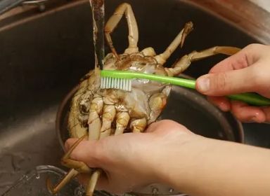 掌握正确方法：如何清洗并处理螃蟹内脏