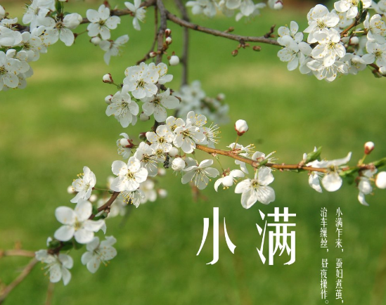 小满节气：麦满谷肥，物丰民乐
